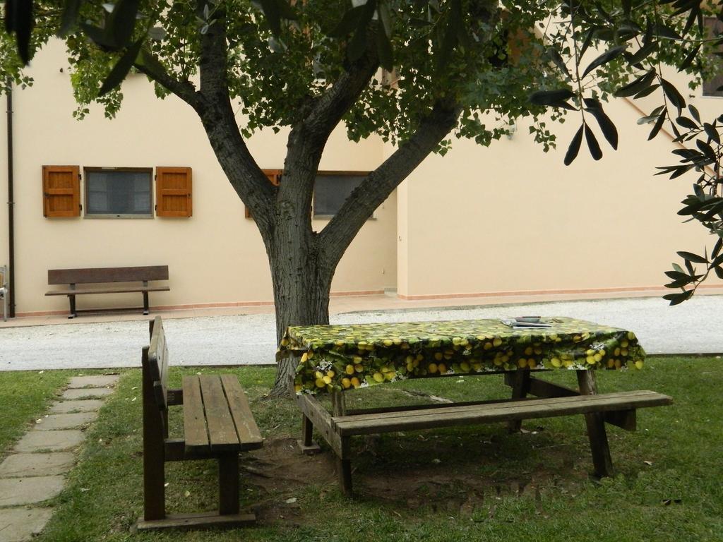 Podere Santo Signoretto San Vincenzo Exteriör bild